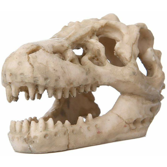 Heguyey - Aquarium Decor Resin Emulation Skull Ornament