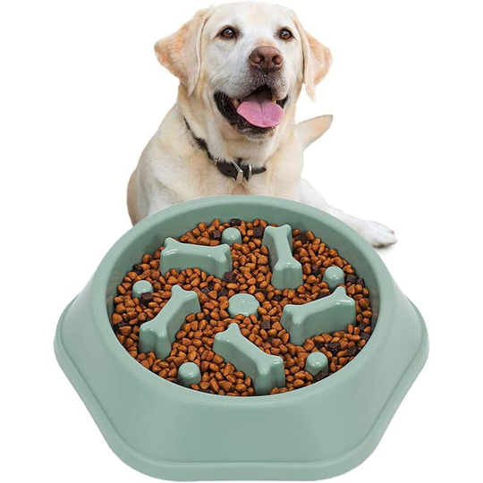 Hiasdfls - Slow Feeding Bowl for Dogs(Green), Slow Feeding Bowl, Anti Glutton Bowl for Dog Cat, Promotes Healthy Eating and Slow Digestion