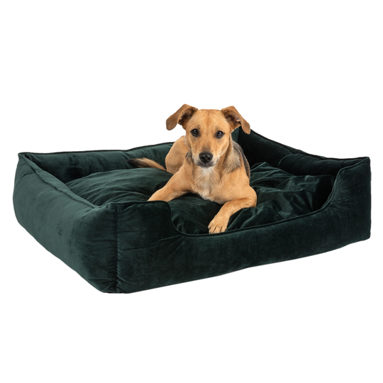 Modern Living Fern Dog Bed - 85 x 80 x 22cm (L x W x H)