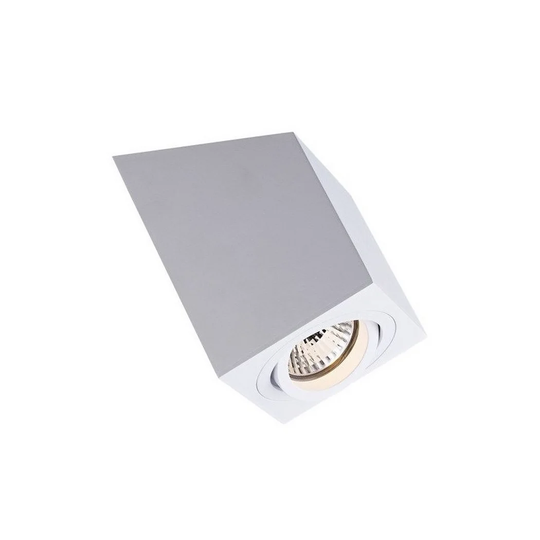 Agner 1-Light 8.1cm Flush Mount