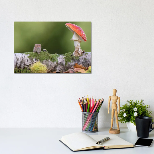 Hello Autumn Harvest Mouse by Dean Mason - Photograph Print on Canvas