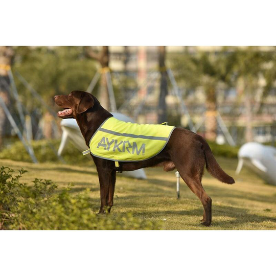 Aykrm Reflective Dog Safety Vest (55, Yellow)
