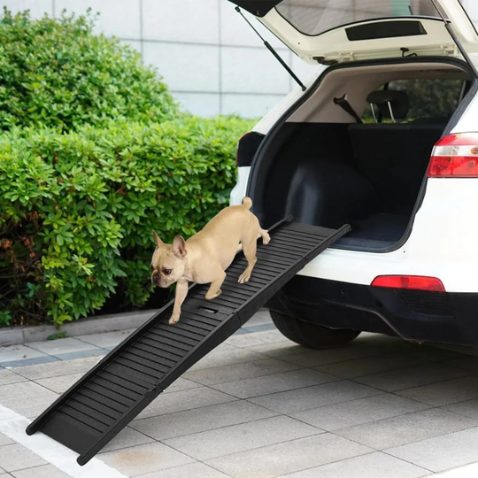 St. Charles Folding Ramp