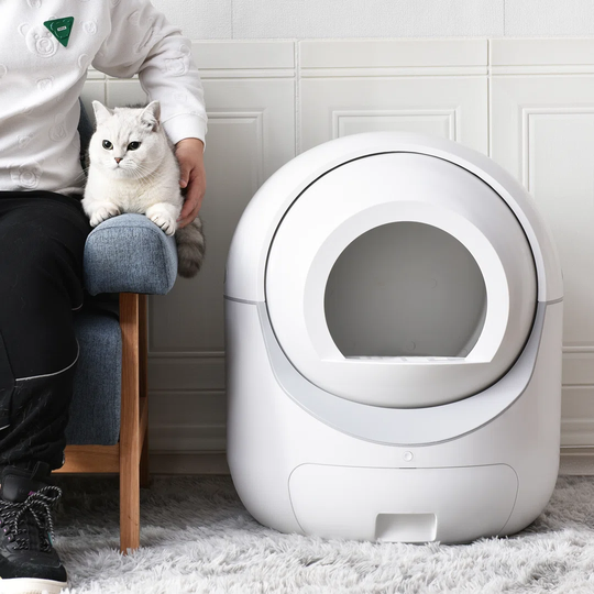 Automatic Litter Box