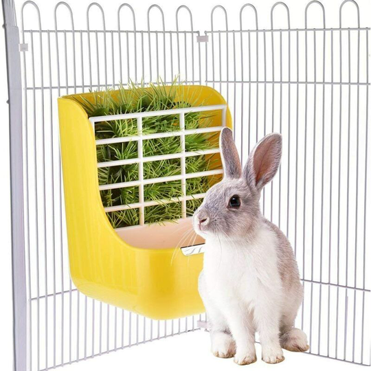 Gdrhvfd - Animal Feeder Rabbit Feeder Hay Feeder, Hamster Feeder, Hay Bowl for Guinea Pig and Other Small Animals - Yellow