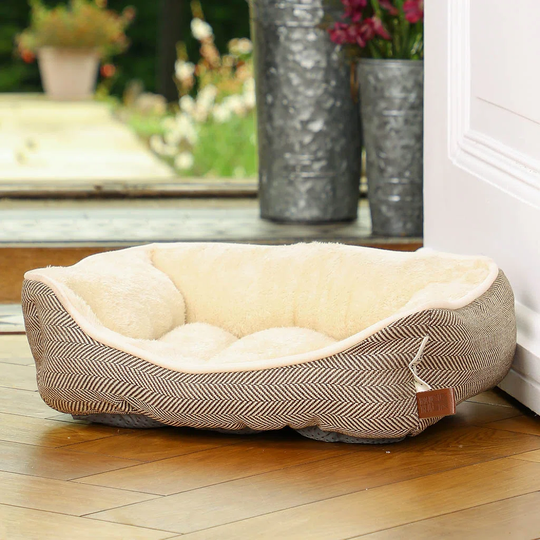 Hebert Dog Sofa in Grey