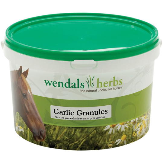 Wendals Herbs - Wendals Garlic Granules (1kg) (May Vary) - May Vary