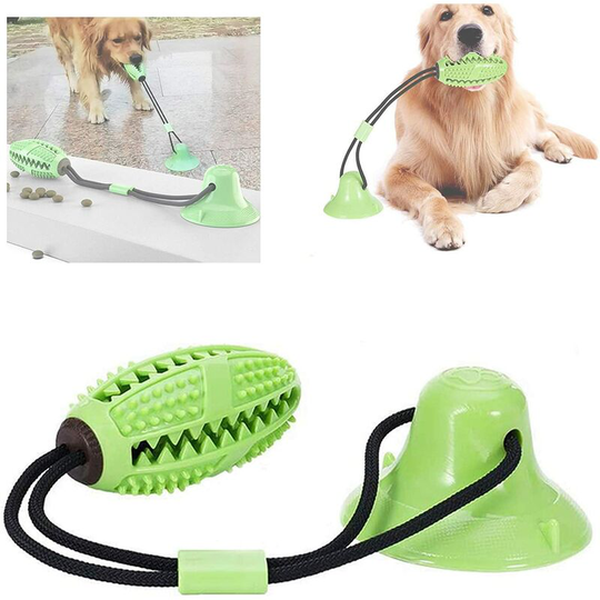 Groofoo - Suction Cup Dog Toy, Molar Dog Toy with Suction Cup, Interactive Pet Molar Bite Toy for Small and Medium Dogs, for Molar Teeth Care and