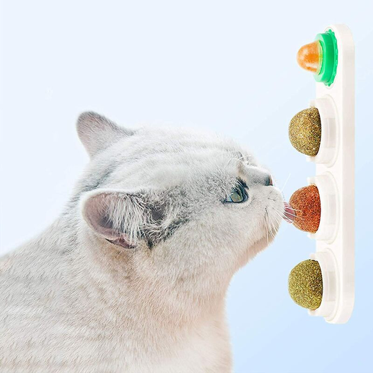 Perle Rare - Fortune Star Catnip Squash Cat Toys Catnip Licking Balls Edible Snacks Natural Healthy Spinning Snacks Toys Kittens Play Chewing Teeth