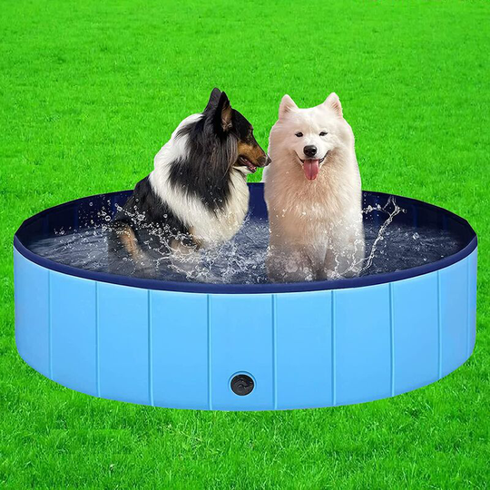 Benobby Kids - Collapsible pvc Non-Slip Dog Pool for Puppy, Shower, Tub, Pool, Indoor or Outdoor (Blue, 80 x 20 cm)