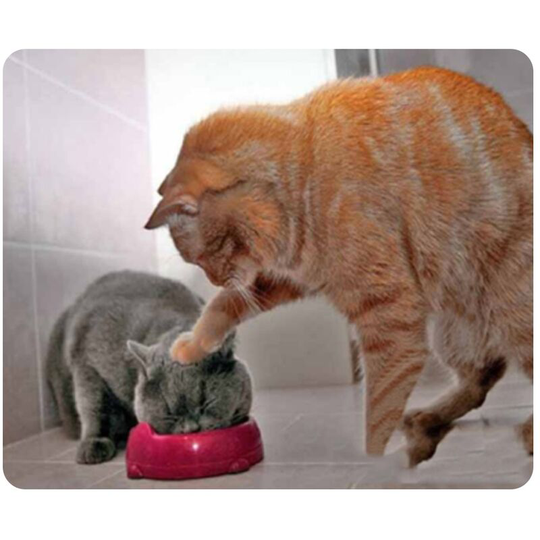 CAT-7 Mouse Pad Cute Cat Picture Anti-Slip Gaming Mouse Mat Replacement for pc Computer Laptop MacBook