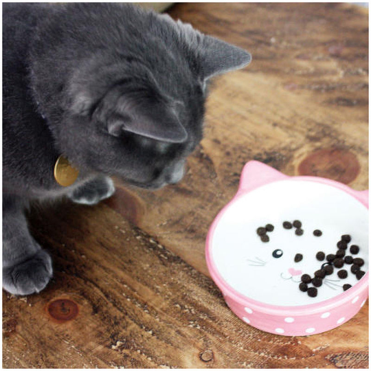 Happy Pet Products - Happy Pet Polka Dot Cat Bowl (One Size) (Pink) - Pink