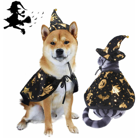 Monly - Halloween Cat Costume, Halloween Hat Pet Costume Halloween Costume Hats Cosplay Props for Cats and Small Dogs