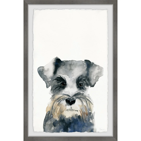 'Little Grey Puppy' by Parvez Taj Framed Painting