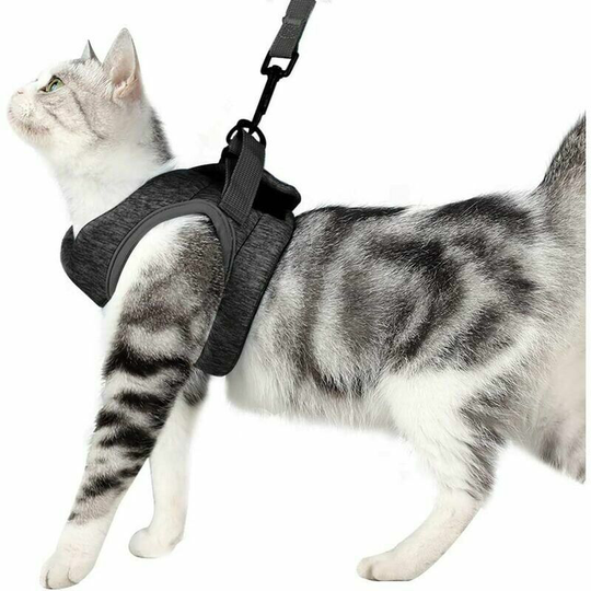 Cat Harness and Leash Ultralight Kitten Collar Soft and Comfortable Cat Running Jacket Leak Proof Suitable for Puppy Rabbits (Gri, l)