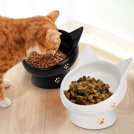 Thsinde - Cat bowl, raised cat food bowl anti-vomiting, inclined elevated cat food, flat face ceramic pet food bowl for cats, small dogs, protect pet