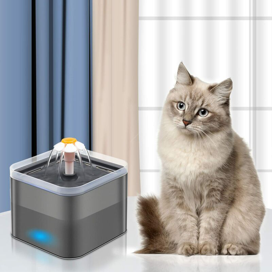 Drinking Fountain for Cats and Dogs, Auto Switch Off Whisper Quiet Pump Pet Water Fountain , 2L Capacity and Blue LED Light