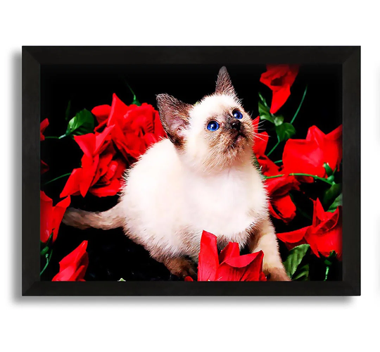 Kitten Roses - Picture Frame Photograph on Canvas