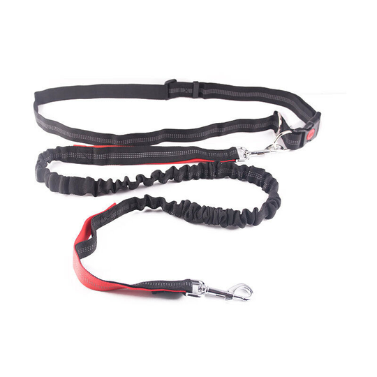 Pet Supplies, Pet Shrinking Leash, Pet Running Leash (Length 124-175cm) (Belt 70-128cm)