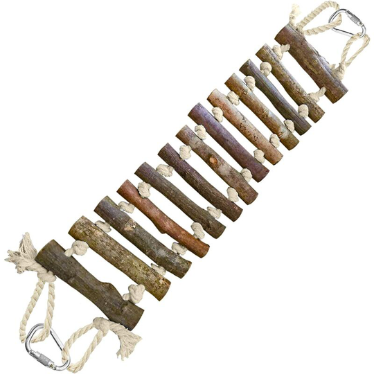 Natural Coconut House Treat Dispenser Encourages Feet and Beak Coco Hut Natural Hanging Buckle (with Ladder)