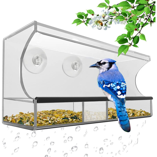 Hiasdfls - High quality bird feeder with removable tray, drainage holes and 3 cupping - transparent, transparent