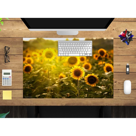 Sunflower Field Desk Pad