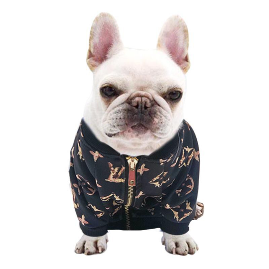 Pet clothing small and medium-sized dog dog clothing fall and winter new Pomeranian puppy supplies Tide T-shirt m (chest 47', neck 30', back 32',