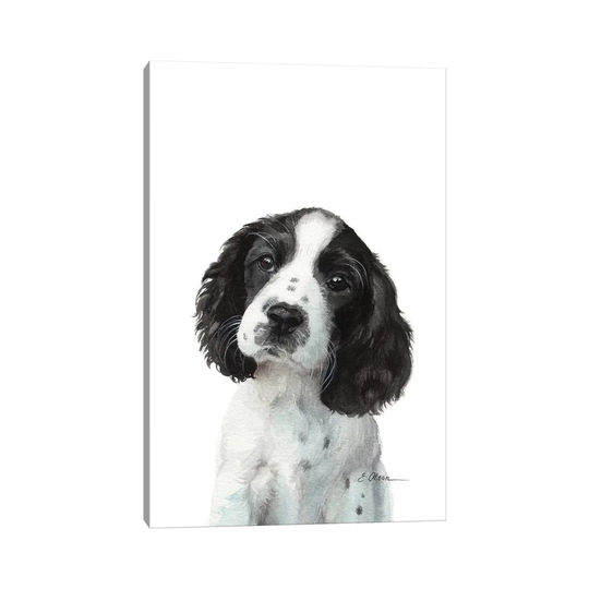 English Springer Spaniel Puppy - Print