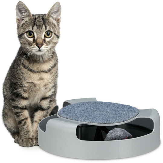 Relaxdays - Cat Toy, Round Track with Toy Mouse, Scratching Surface, Occupation, Interactive, HxD 7x25.5 cm, Grey
