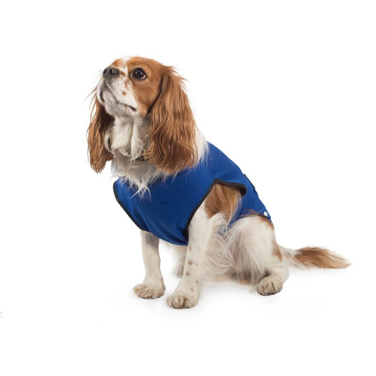 Ancol - Dog Cooling Vest (l) (Blue) - Blue