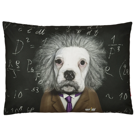 Brain - Pets Rock - Luxury Dog Bed