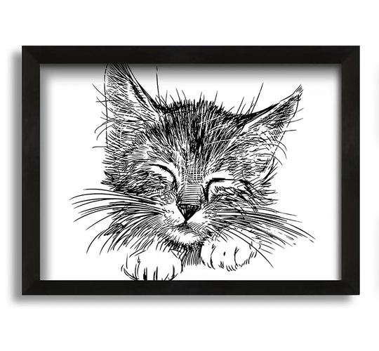 Cute Kitten Face - Picture Frame Drawing on Canvas