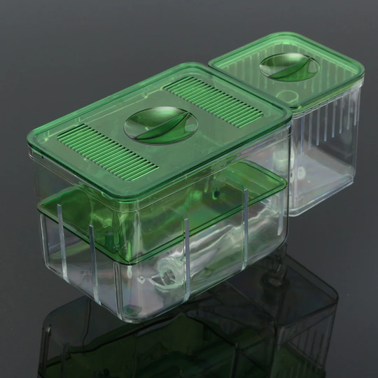 1.53L Kaydence Aquarium Tank