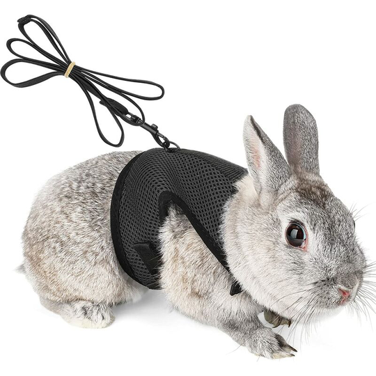 Harness for Rabbits Guinea Pigs Small Animals with Elastic Leash Soft Vest for Walking (S, Black)