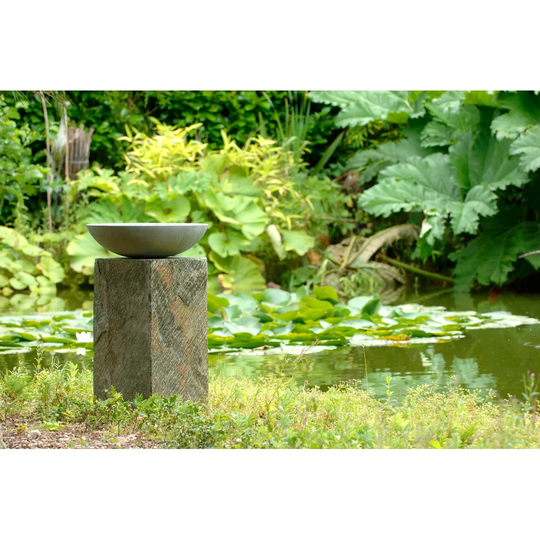 Roni Acorn Shark Bird Bath