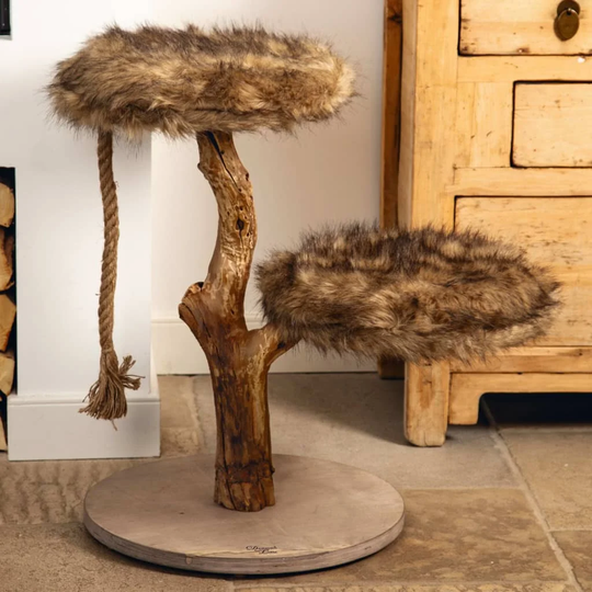 Designed by Lotte Scratch Furniture Aviva 50 x 50 x 68cm Wood
