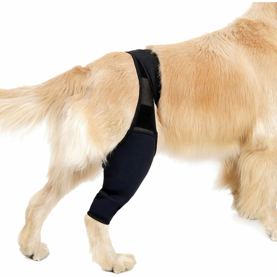 Dog Hind Leg Brace Sprain Injury Recovery Sleeve Pain Relief Small Black