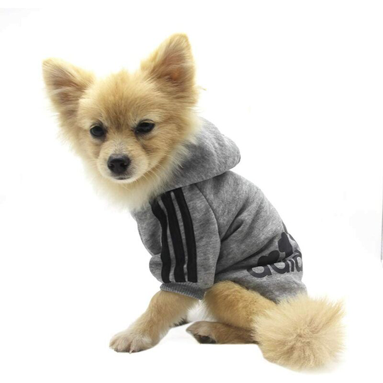 Pet Clothes, Dog Cat Hoodie Clothes Puppy Warm Hooded Sweater (Gray, m)