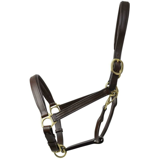 Leather Padded Head Collar (Cob) (Brown) - Brown - Coldstream