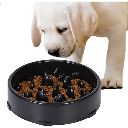Hiasdfls - Slow Feeder Bowl for Dogs (Black), Slow Feeder Bowl, Anti Glutton Bowl for Dog Cat, Promotes Healthy Eating and Slow Digestion