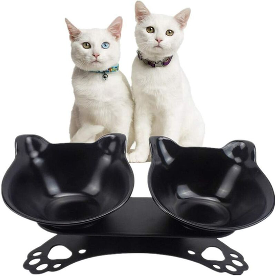 Echoo - Cat Bowl with Stand, Double Raised Bowl for Cat and Puppy Anti-Vomiting (Black)