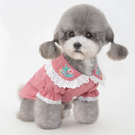 L)Spring and summer new pet clothes puppy clothes dog two feet clothes cotton bottoming clothes Teddy Bulma clothes Collar embroidered plaid shirt