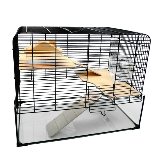 Kristin Cage with Ramp