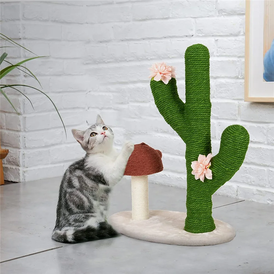 Ledyard Scratching Post