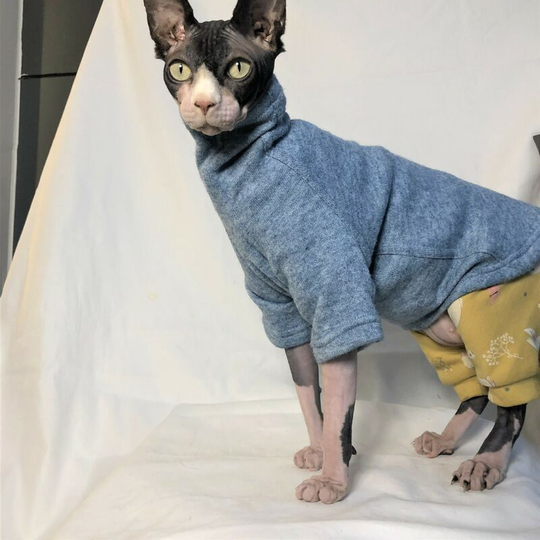 Pet clothes hairless cat clothes fall and winter warm Sphinx cat clothes high collar high elastic m size (chest 33', neck 21', abdomen 36 length 31
