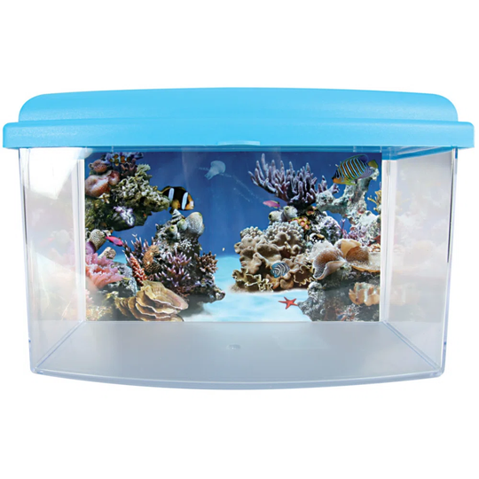 Aquarium Tank