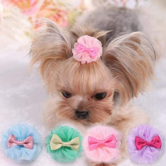 Set of 4 nodes for small dogs, puppy grooming accessories, pet accessories, hair clips, for grooming the Yorkshire table