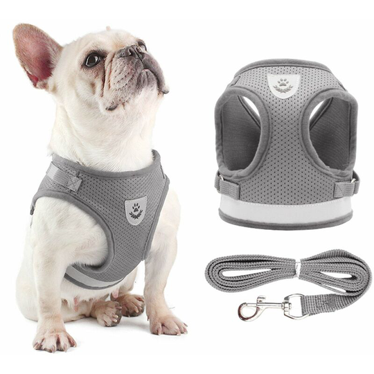 Dog Harness and Leash Set Reflective Adjustable Mesh Vest for Small Dogs Puppy Cats