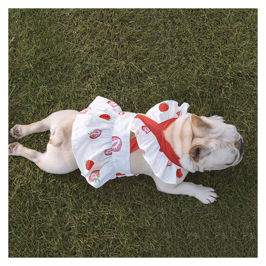 Benobby Kids - 1 set of white printed pet clothes dress ruffle lace halter dress princess dress size medium (m) back length 27 chest 40-45 neck