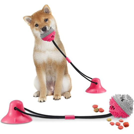 Betterlifegb - Dog Toy with Suction Cup, Pet Chew Toys, Dog Chew Interactive Toys, Cleaning Teeth, Outdoor Beet with Dental Care Function